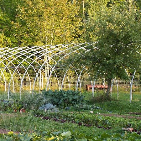 Green Dragon Organic Farm And B&B Tatamagouche Exterior photo