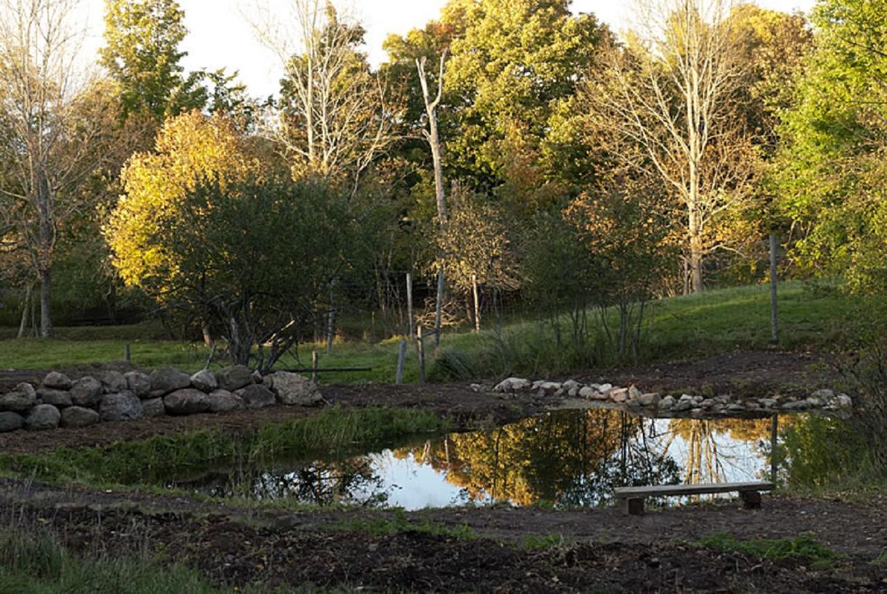 Green Dragon Organic Farm And B&B Tatamagouche Exterior photo